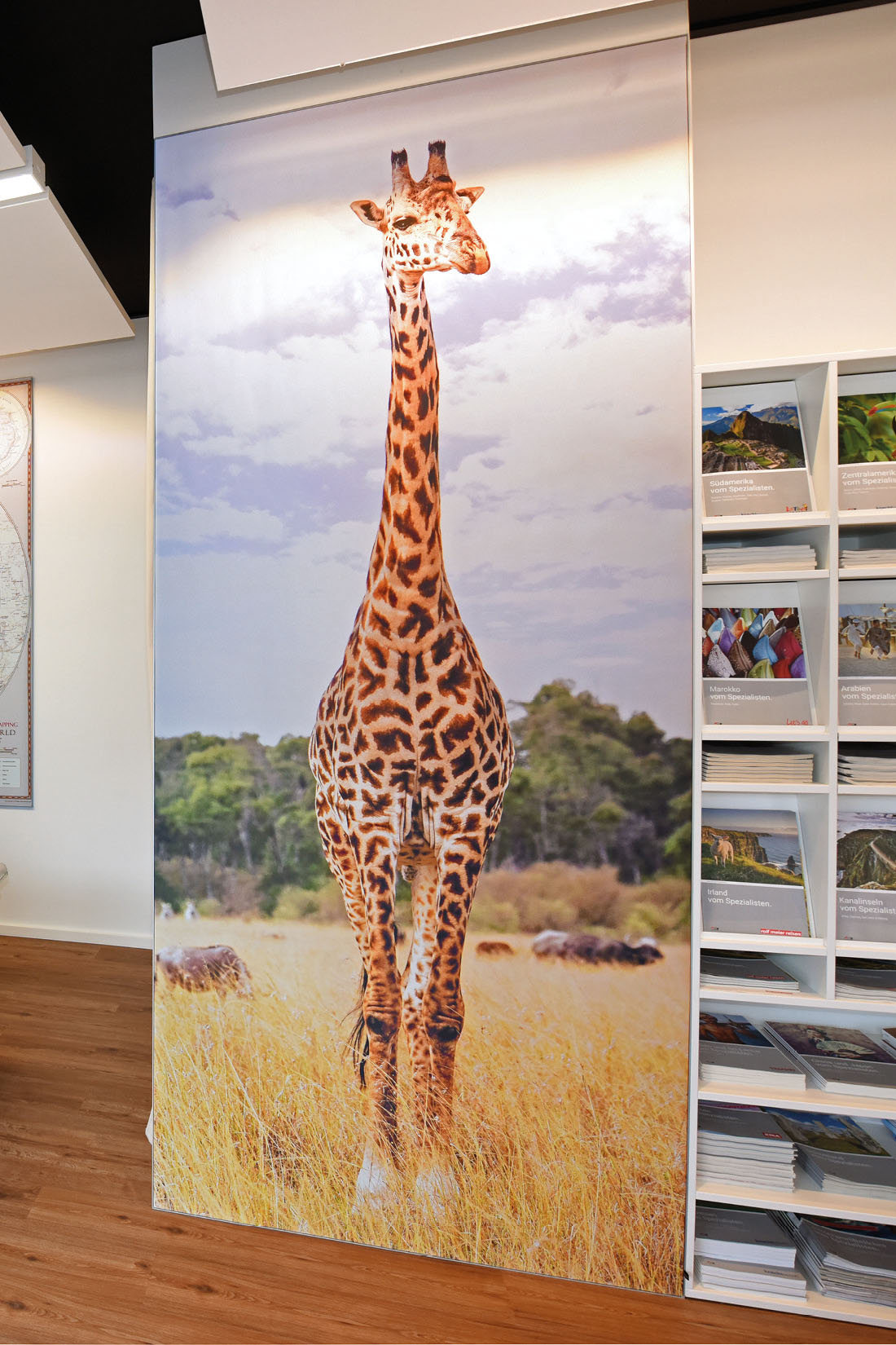 Wandbild deckenhoch mit Sujet Giraffe