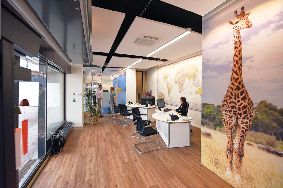 Gestalteter Raum des Reisebueros mit drei grossen Wandbildern, grosses Giraffenbild im Vordergrund